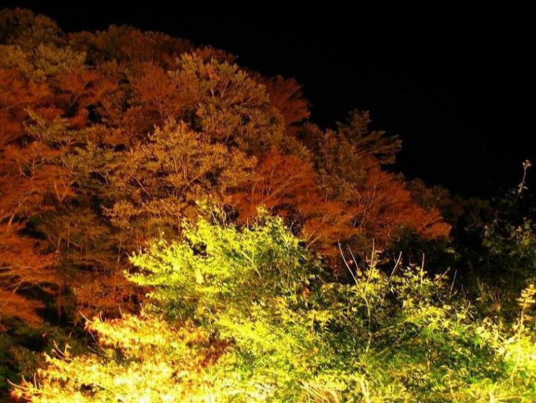 かわまえの秋’０７～光のページェント～紅葉まつり